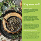Gardenika Green Lemon Ginseng Tea, Loose Leaf, USDA Organic, Kosher – 4 Oz (113g)