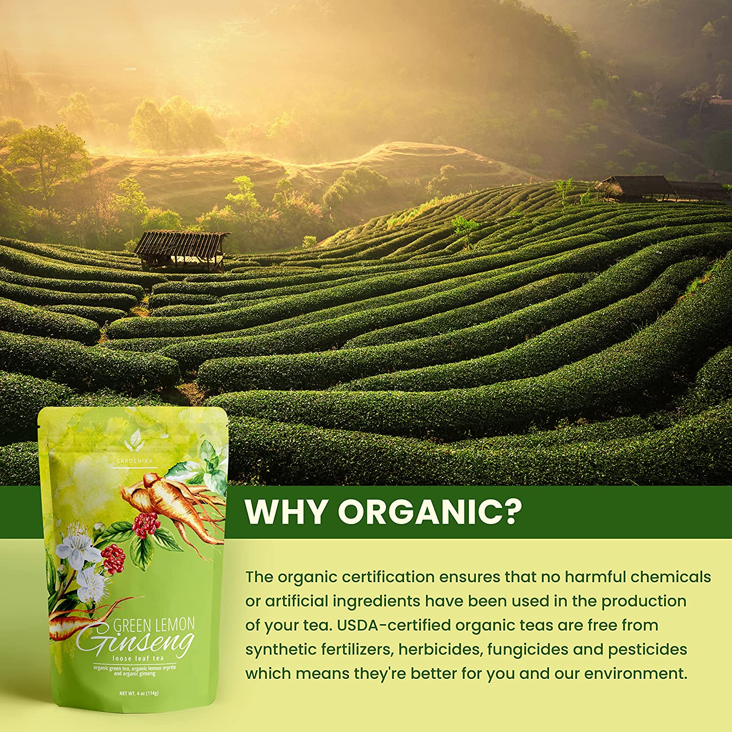 Gardenika Green Lemon Ginseng Tea, Loose Leaf, USDA Organic, Kosher – 4 Oz (113g)