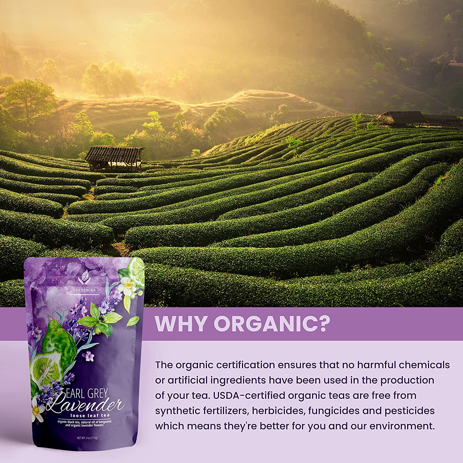 Gardenika Earl Grey Lavender Loose Tea, Premium Black Tea with Lavender Flowers & Bergamot - Caffeinated - 55+ Cups - USDA Organic & Kosher - 4 oz (113g)