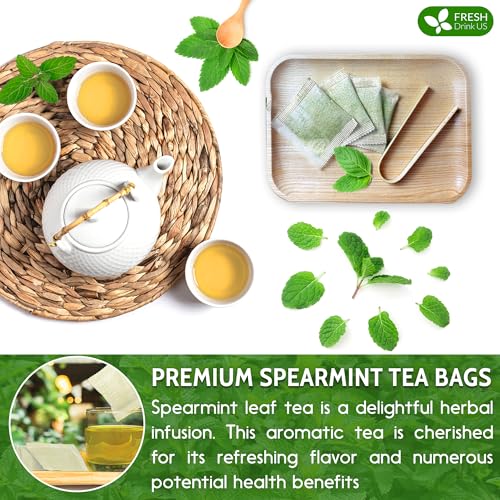 FreshDrinkUS Hibiscus & Spearmint Tea Duo