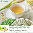 FreshDrinkUS Morning Vitality Tea Bundle — Fennel, Ginger & Lemongrass