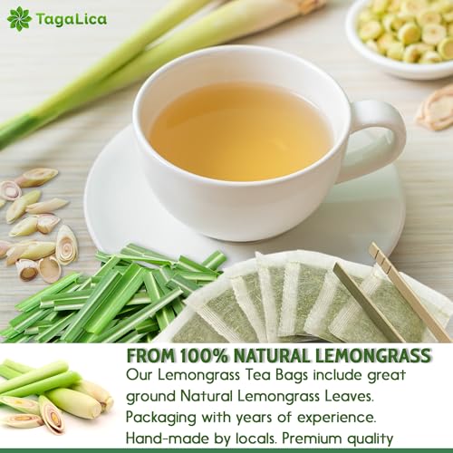 FreshDrinkUS Morning Vitality Tea Bundle — Fennel, Ginger & Lemongrass
