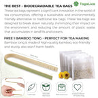 FreshDrinkUS Morning Vitality Tea Bundle — Fennel, Ginger & Lemongrass