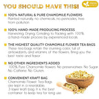 FreshDrinkUS Sleep & Digest Tea Duo — Chamomile & Fennel