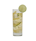 Harney & Sons Organic Green with Coconut Fresh Brew Iced Tea