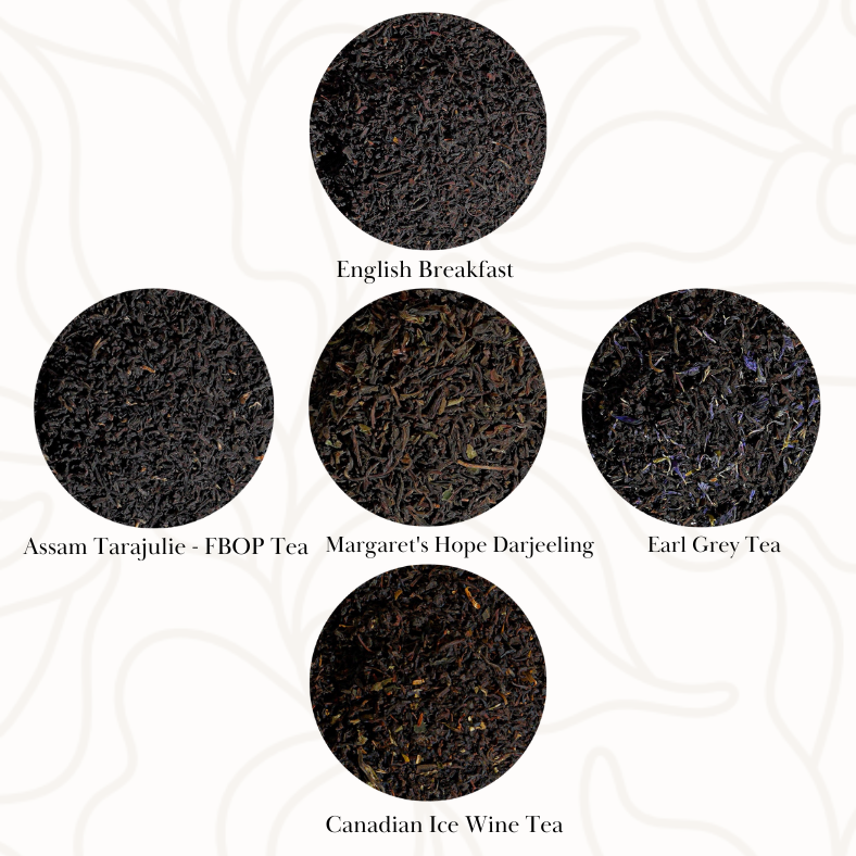 Culinary Teas Classic Black Tea Sampler Collection Gift Set