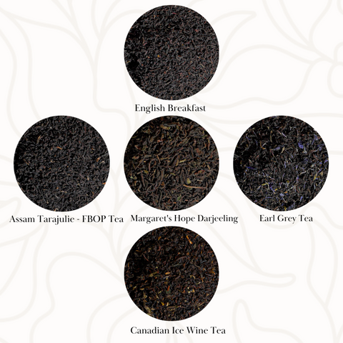 Culinary Teas Classic Black Tea Sampler Collection Gift Set