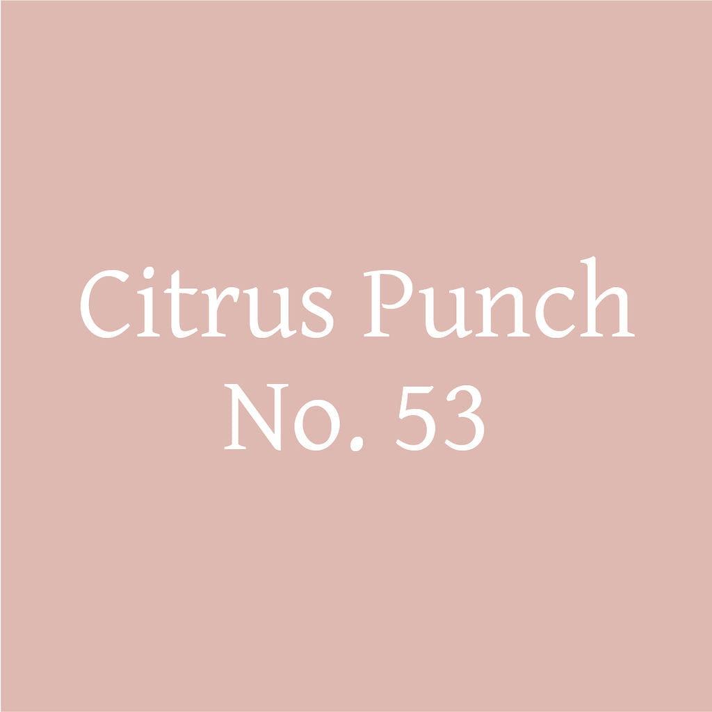 iLOLA Citrus Punch No. 53 – Citrus Probiotic Oolong Tea Discs