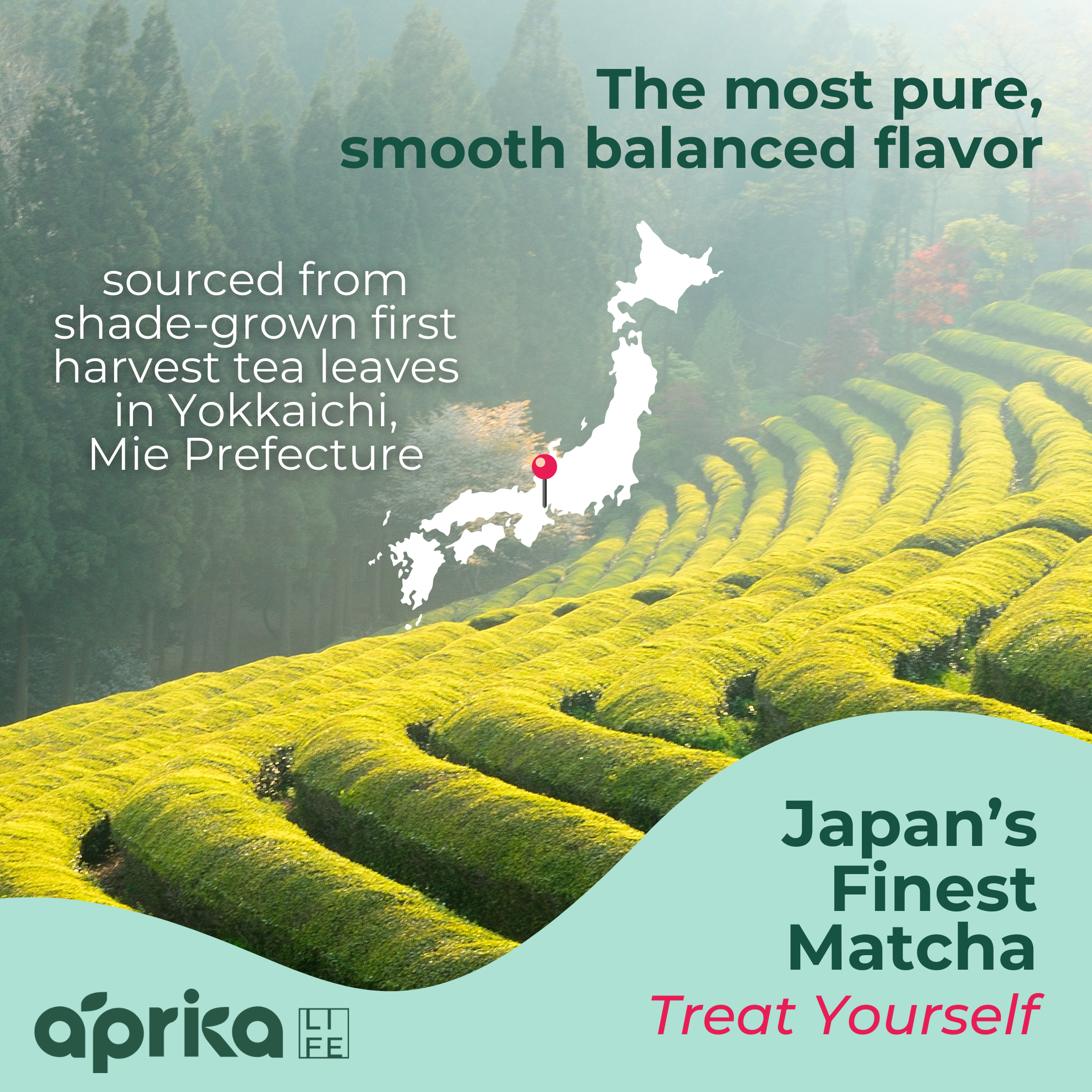 Aprika Life Organic Japanese Ceremonial Grade Matcha Green Tea Powder