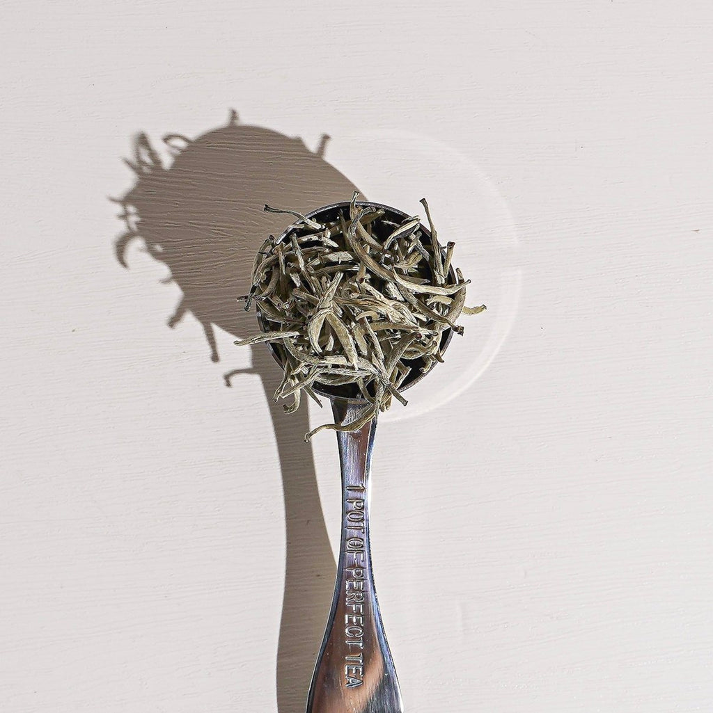 Culinary Teas Adams Peak Rare White Tea