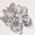 Culinary Teas Black Currant Tea