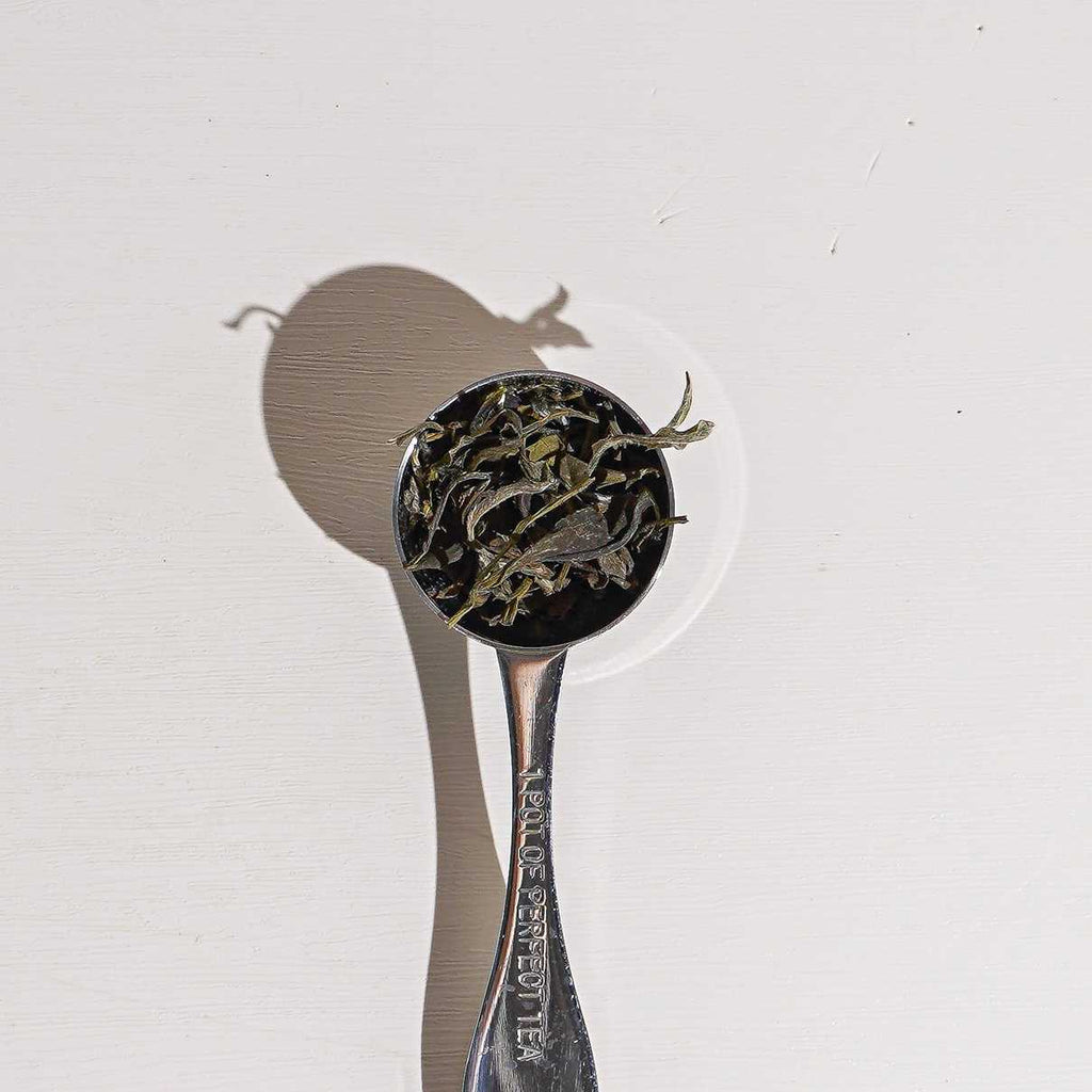 Culinary Teas Leopard Snow Buds Tea