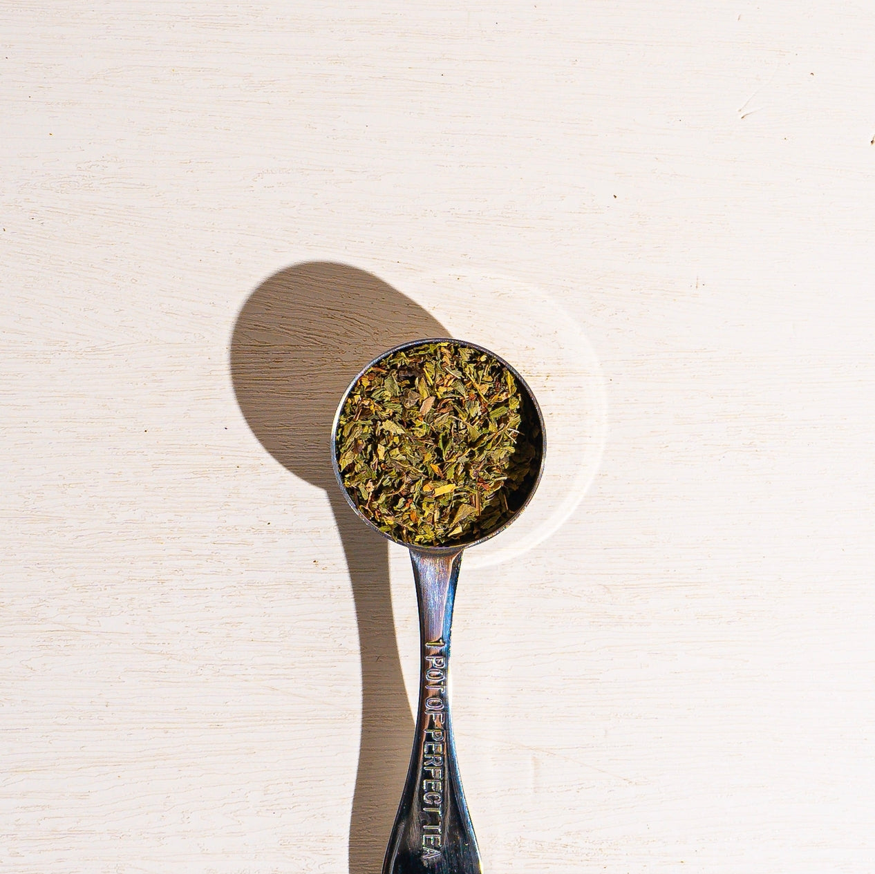 Culinary Spearmint Herbal Tea