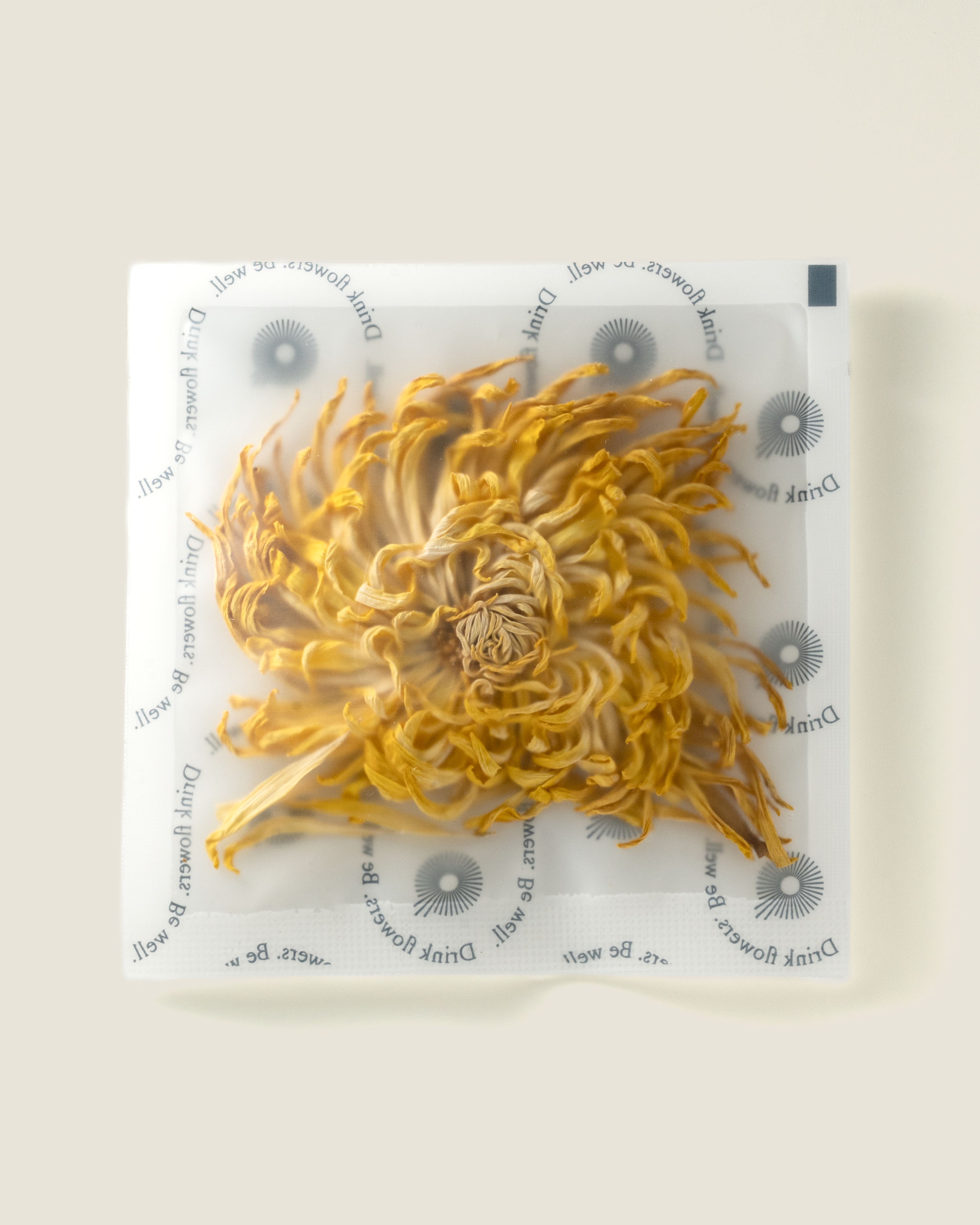 The Qi Royal Chrysanthemum