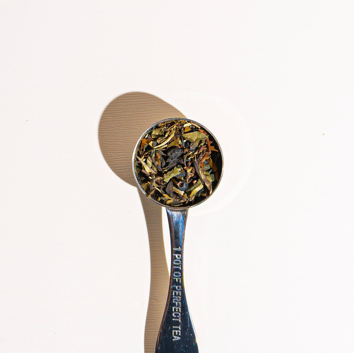 Culinary Teas Blueberry White