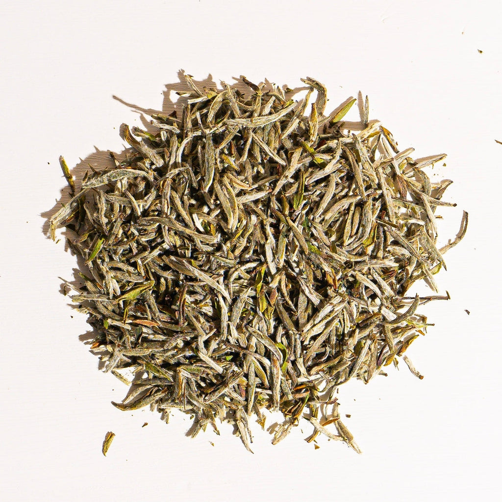 Culinary Teas Peony White Needle