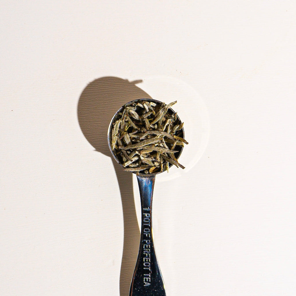 Culinary Teas Peony White Needle