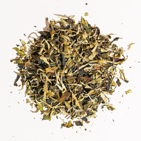 Culinary Teas Pai Mu Tan White Tea