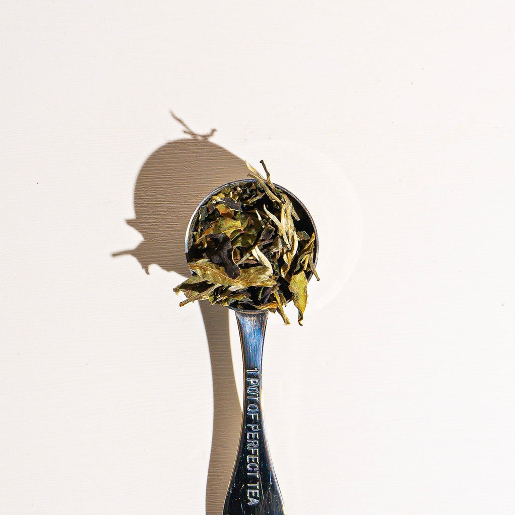 Culinary Teas Pai Mu Tan White Tea