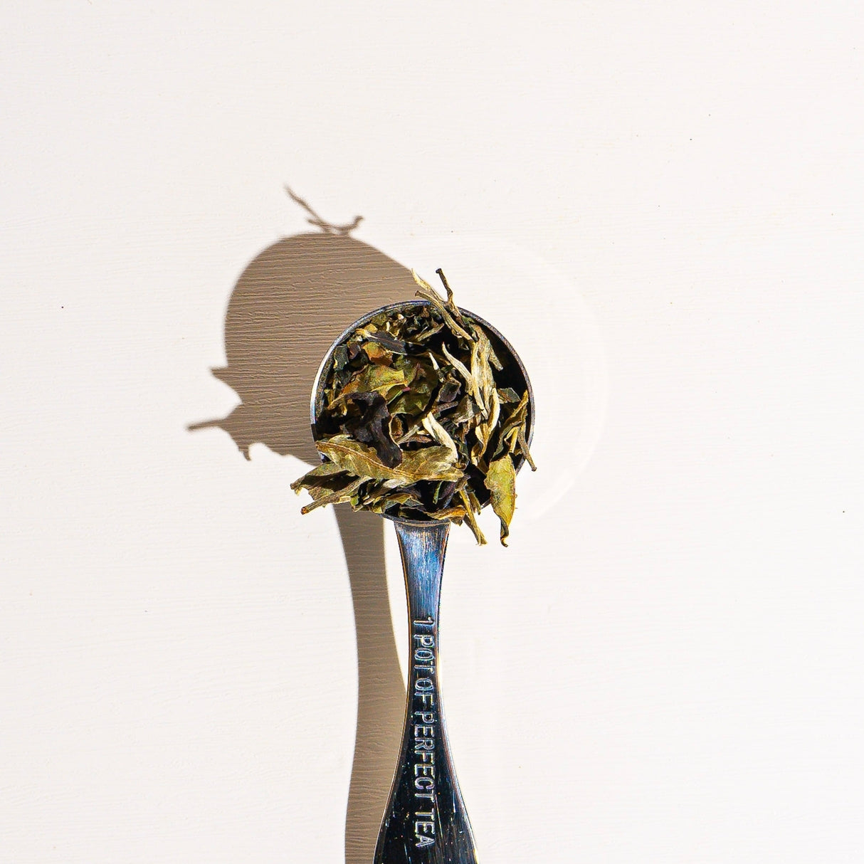 Culinary Teas Pai Mu Tan White Tea