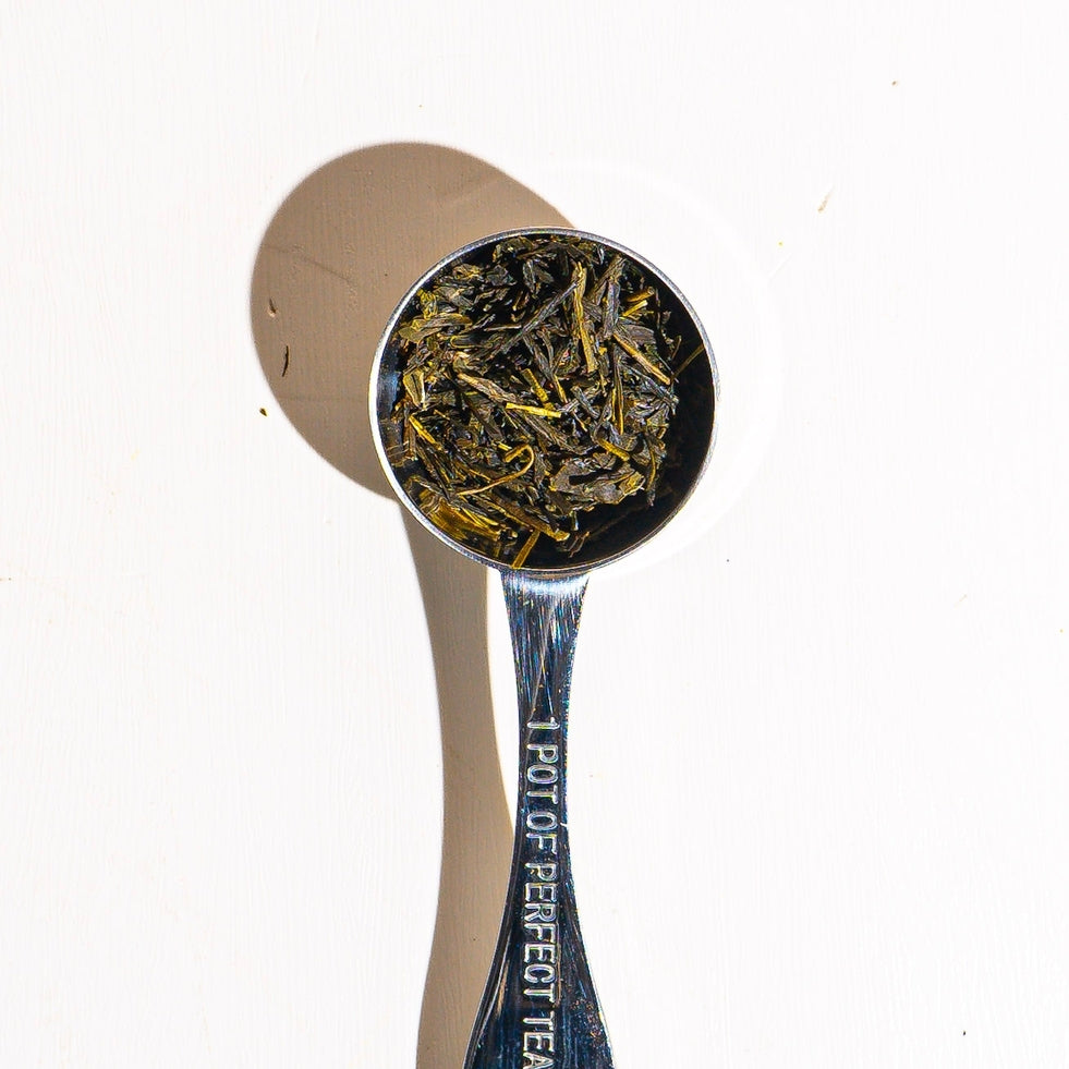 Culinary Teas Apple Sencha