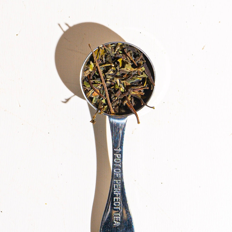 Culinary Teas Lemon white