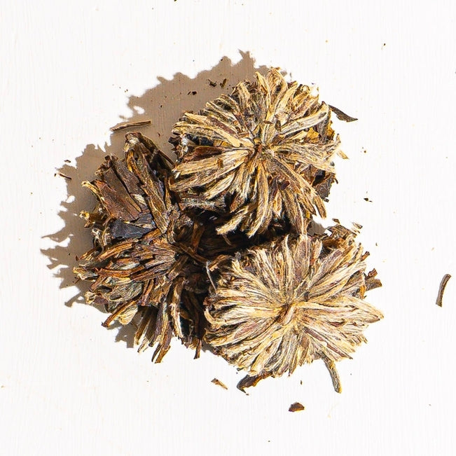 Culinary Teas Jasmine Bai Mu Dan