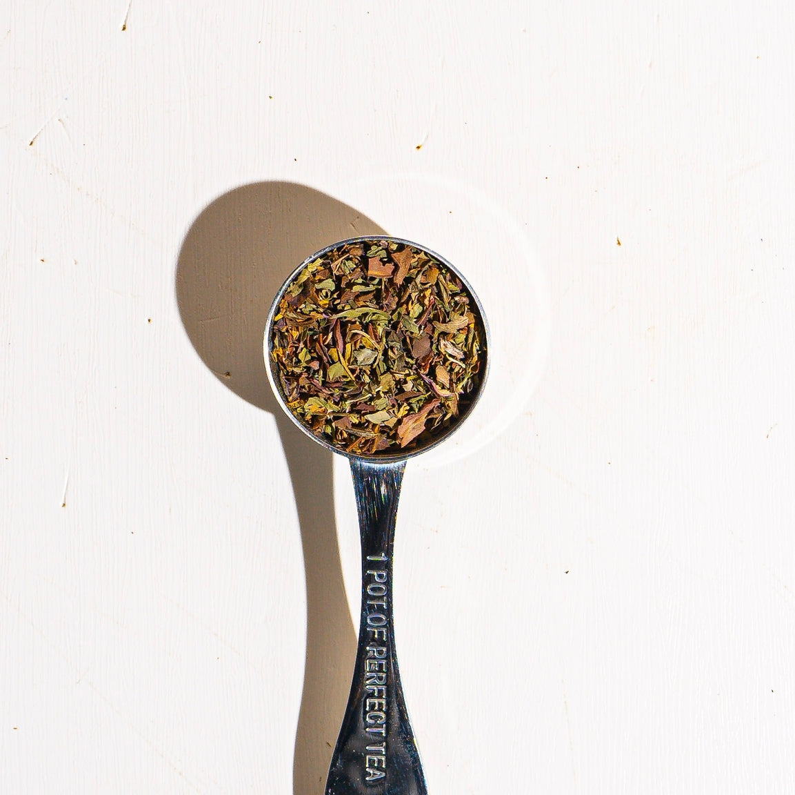 Culinary Teas Peppermint - White Tea