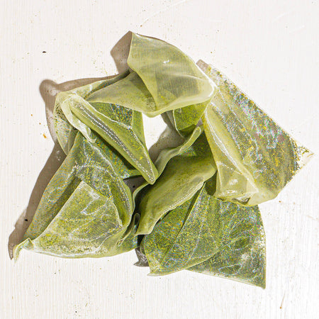 Culinary Teas Cold Brew Classic Green with Matcha