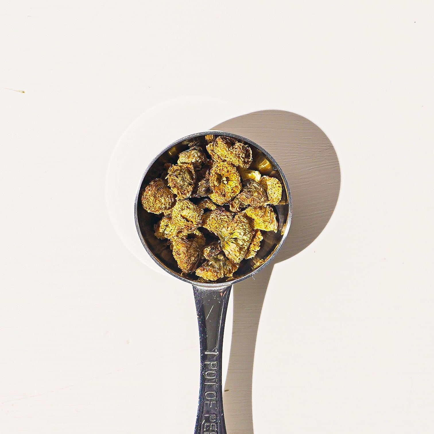 Culinary Teas Wild Chrysanthemum Flower