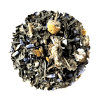 Beach House Embrace The Beach Life Iced Blend