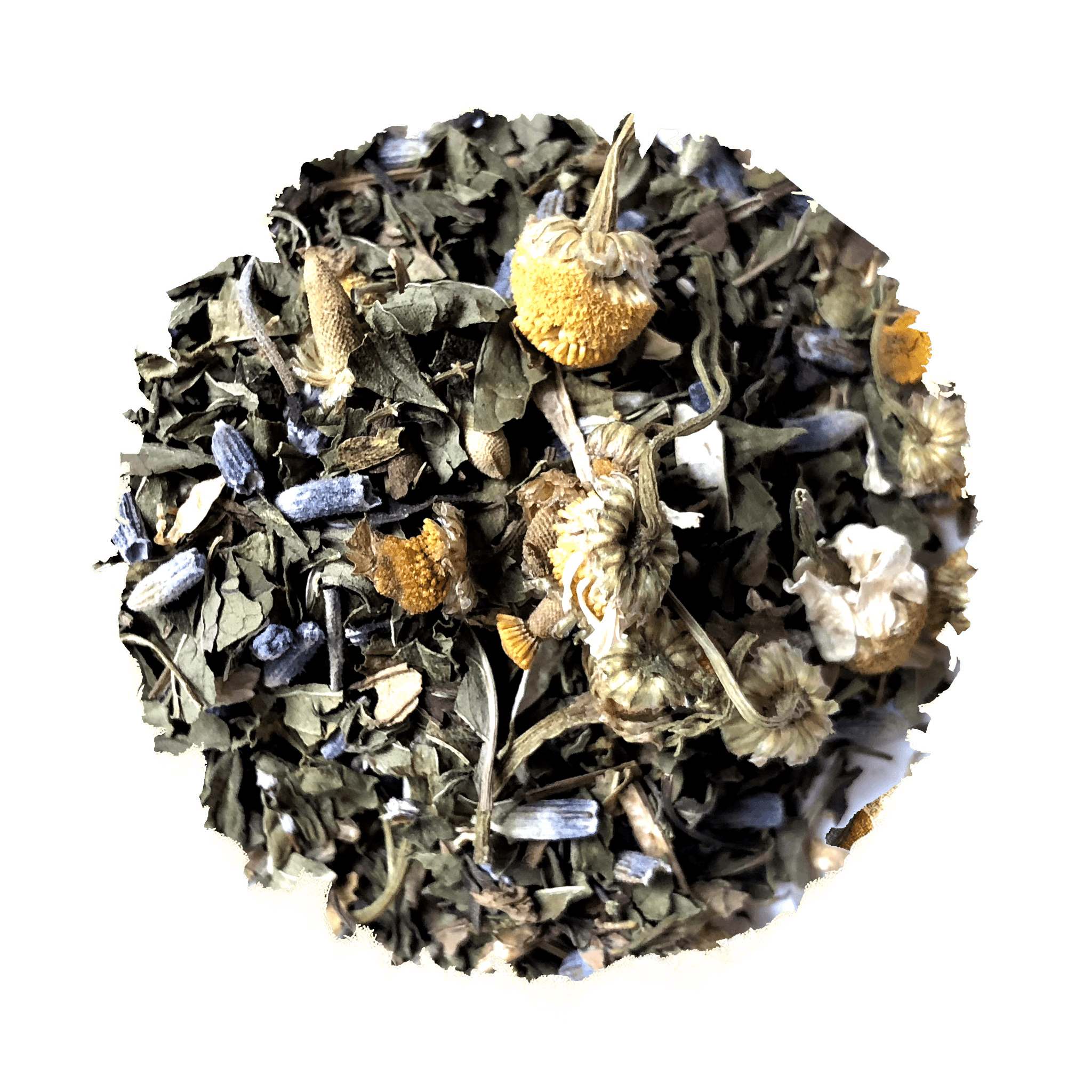 Beach House Embrace The Beach Life Iced Blend
