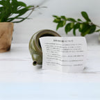 Aprika Life Green Kuysu with Flowers - Japanese Handmade Teapot with Premium Tea Strainer - 12 fl oz/360ml
