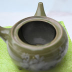 Aprika Life Green Kuysu with Flowers - Japanese Handmade Teapot with Premium Tea Strainer - 12 fl oz/360ml