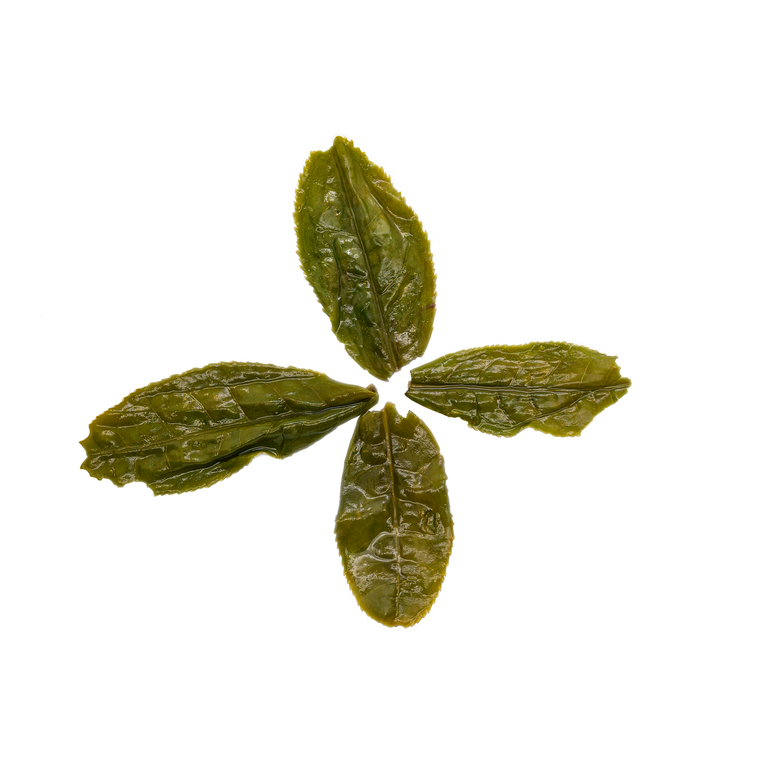 Tea Drunk Lu An Gua Pian