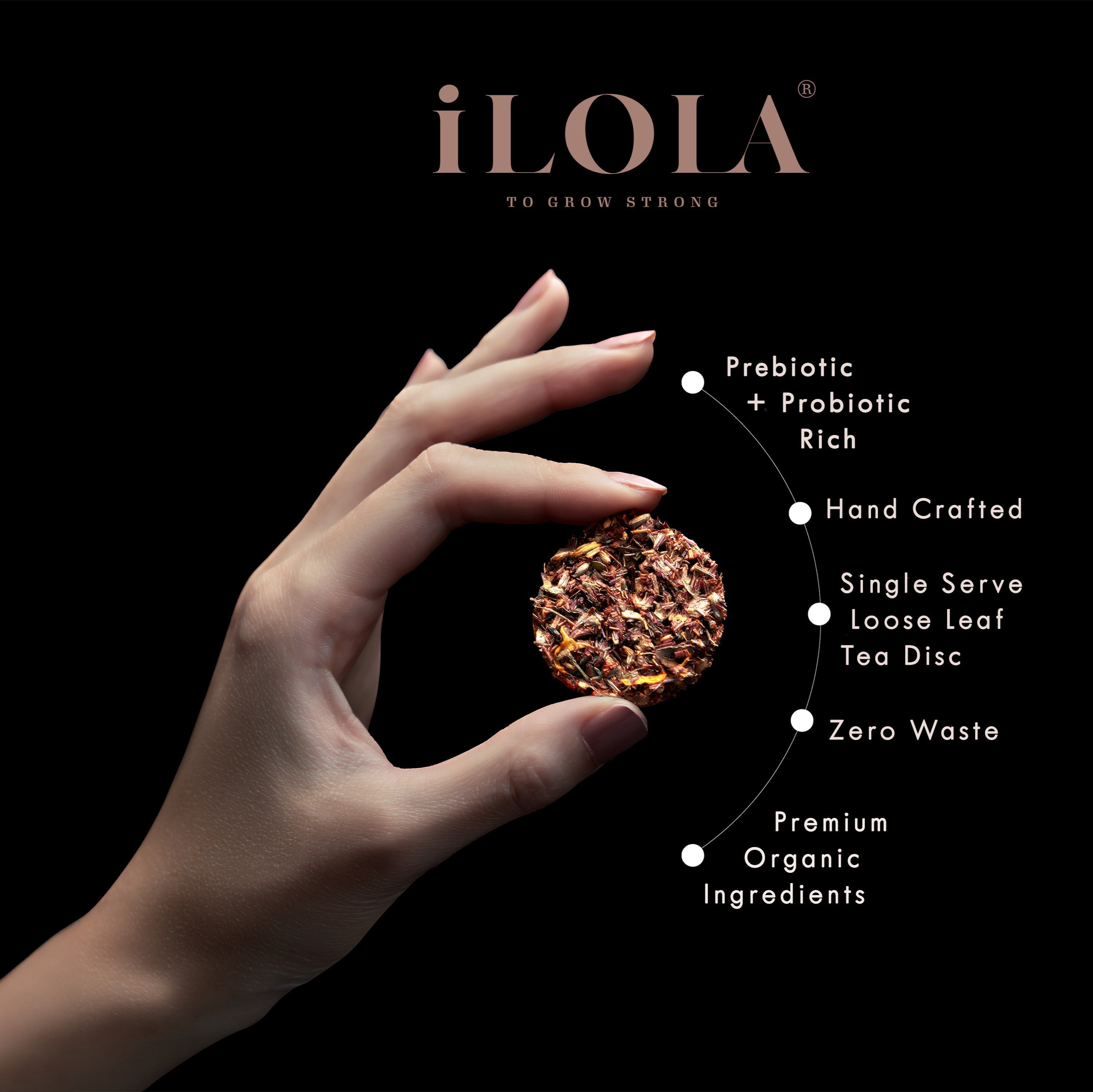 iLOLA Cape Carousel No. 63 | Loose Leaf Herbal Tea