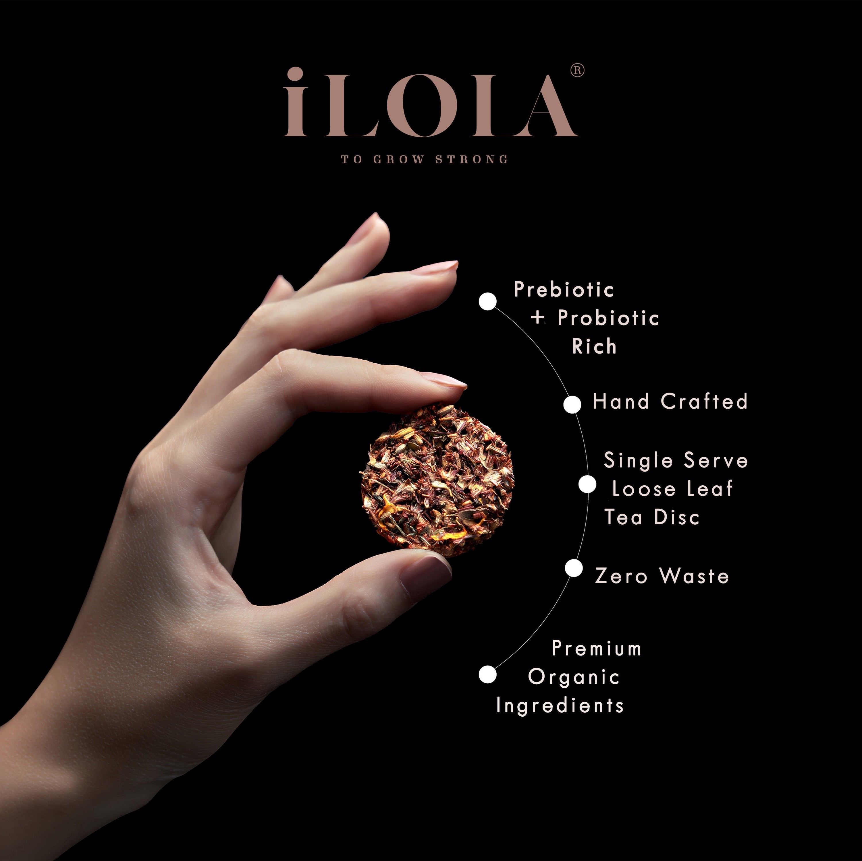 iLOLA Peony Blueberry No. 43 | Loose Leaf White Tea