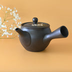 Aprika Life Handcrafted Japanese Kyusu Teapot with Filters (350 ml)