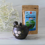 Aprika Life Handcrafted Japanese Kyusu Teapot with Filters (350 ml)
