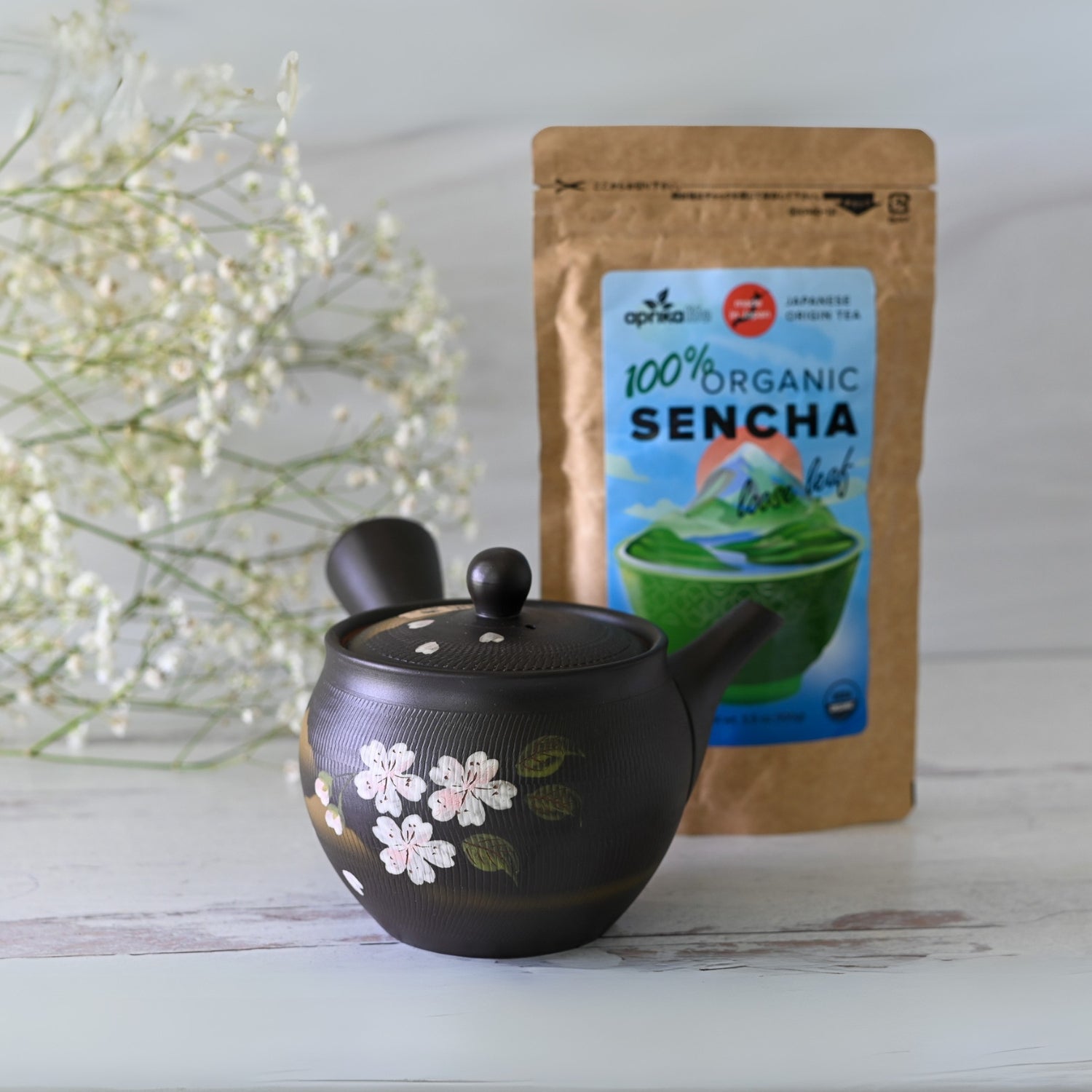 Aprika Life Handcrafted Japanese Kyusu Teapot with Filters (350 ml)