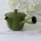 Aprika Life Handcrafted Japanese Kyusu Teapot with Filters (380ml)