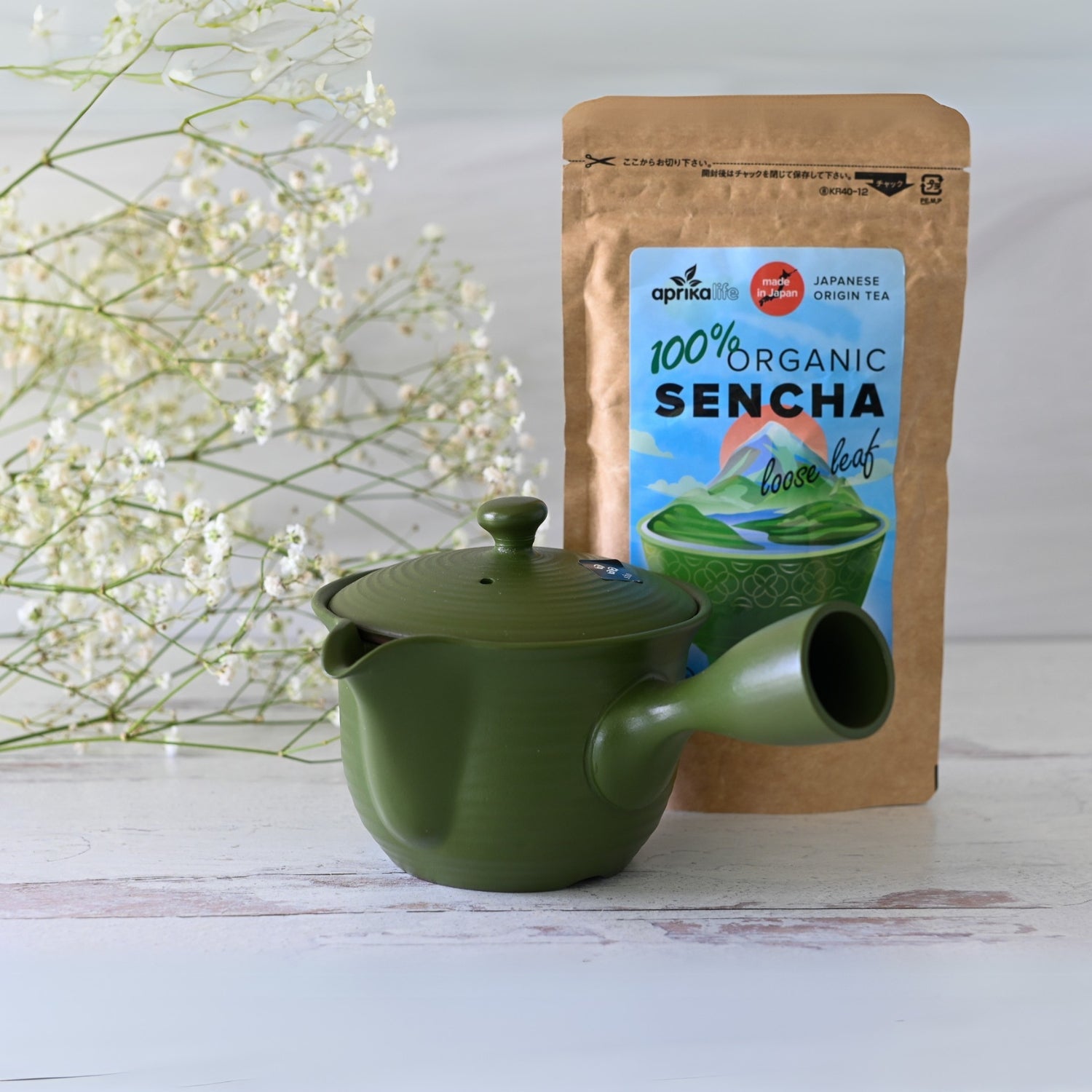Aprika Life Handcrafted Japanese Kyusu Teapot with Filters (380ml)