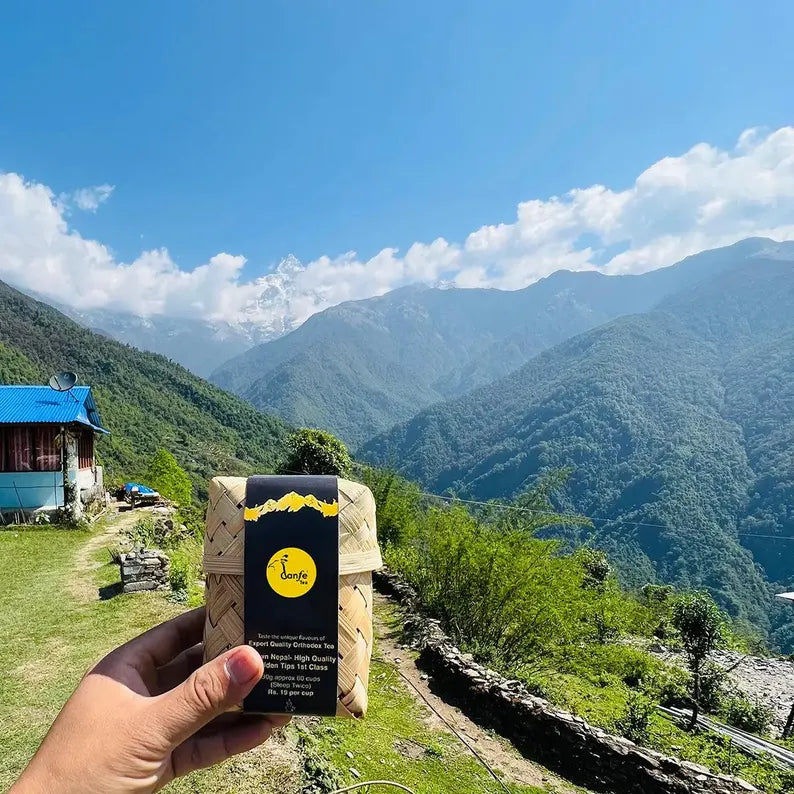 Danfe 39° Mango Moringa Tea (Caffeine-Free Superfood Herbal Tea)