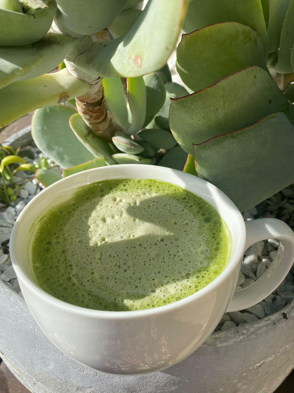 Zum Zum Ōmura Bay Matcha Tea