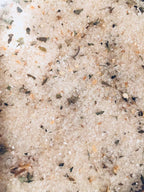 Beach House Lime Basil infused artisan culinary sugar Tea