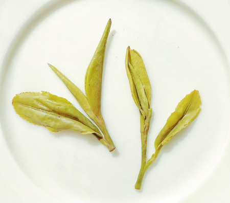 Tea Drunk Xin Yang Mao Jian Green Tea