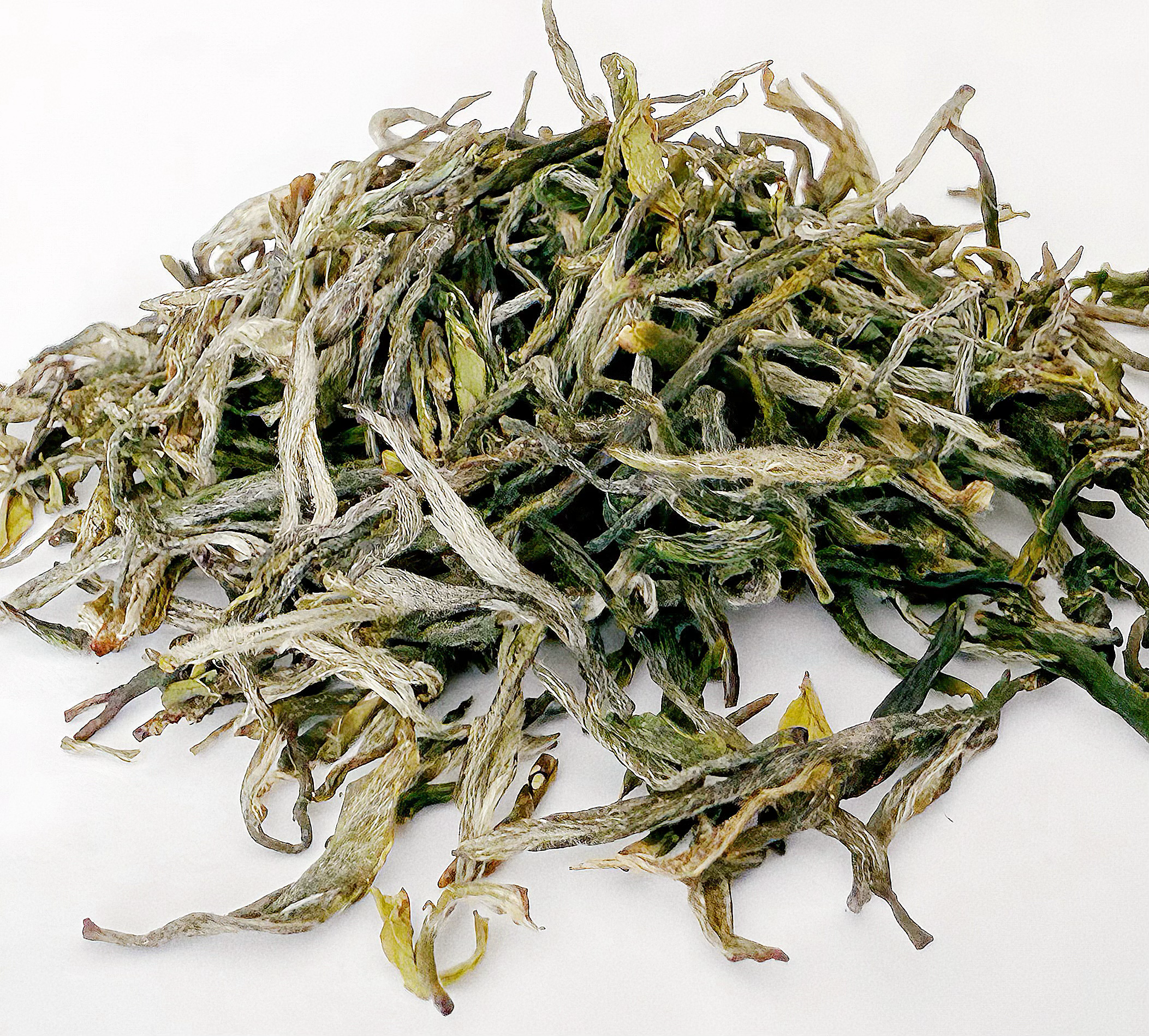 Tea Drunk Xin Yang Mao Jian