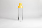 Hario USA Cold Brew Tea Carafe