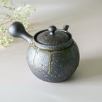 Aprika Life Japanese Kyusu Set - Teapot with Filters (230ml) and Two Cups