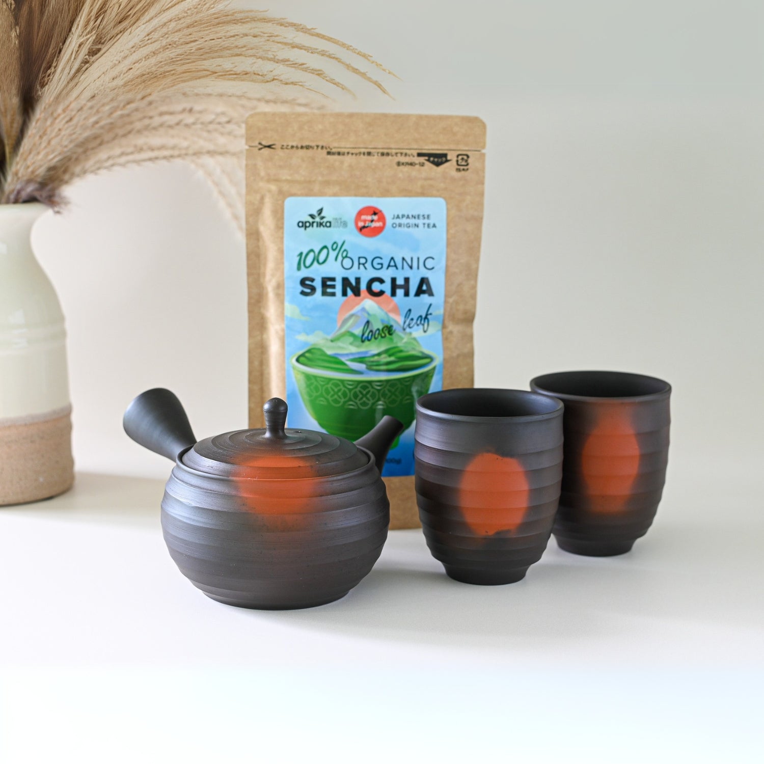 Aprika Life Japanese Kyusu Set - Teapot with Filters (270ml) and Two Cups